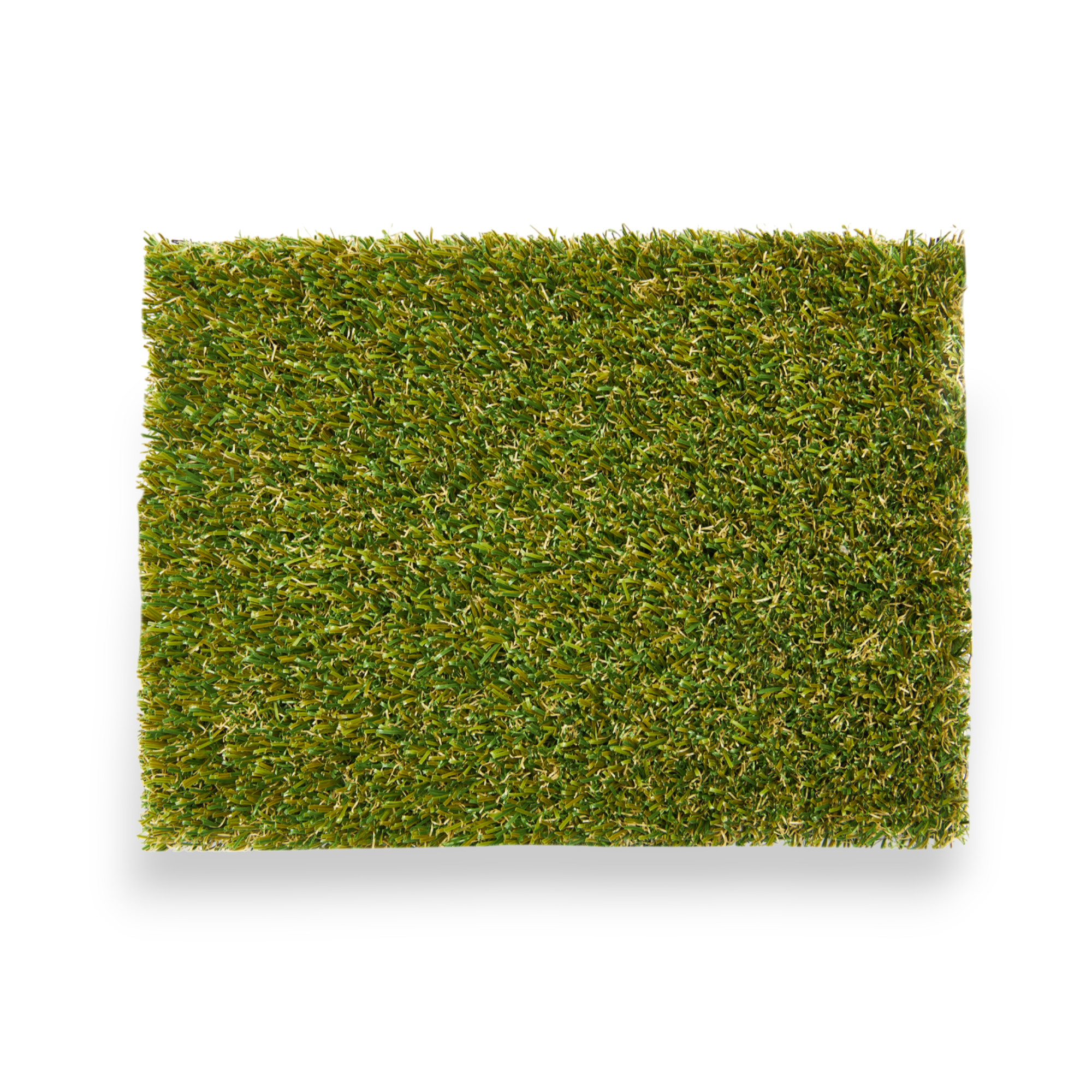 SYNLawn Pet Premium